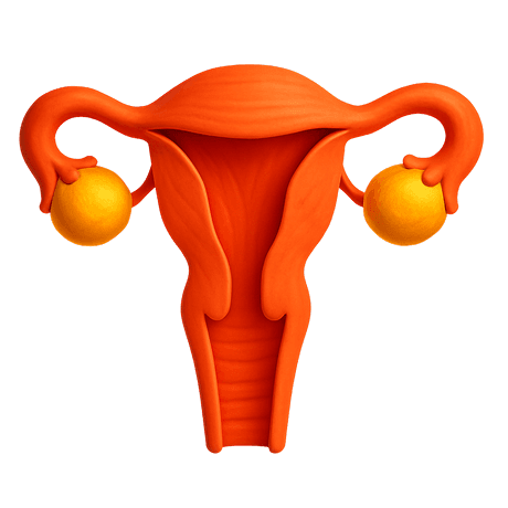Gynecology